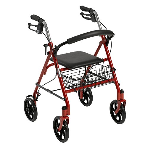 Drive Medical Four-Wheel Rollator with Fold-Up Removable Back Support